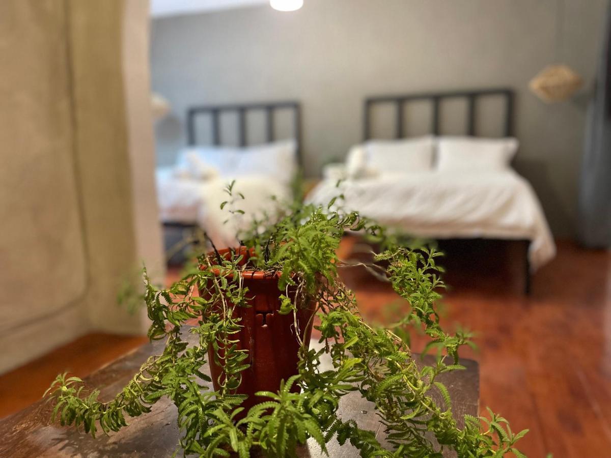 Hotel Villa Helena San Miguel de Allende Eksteriør billede
