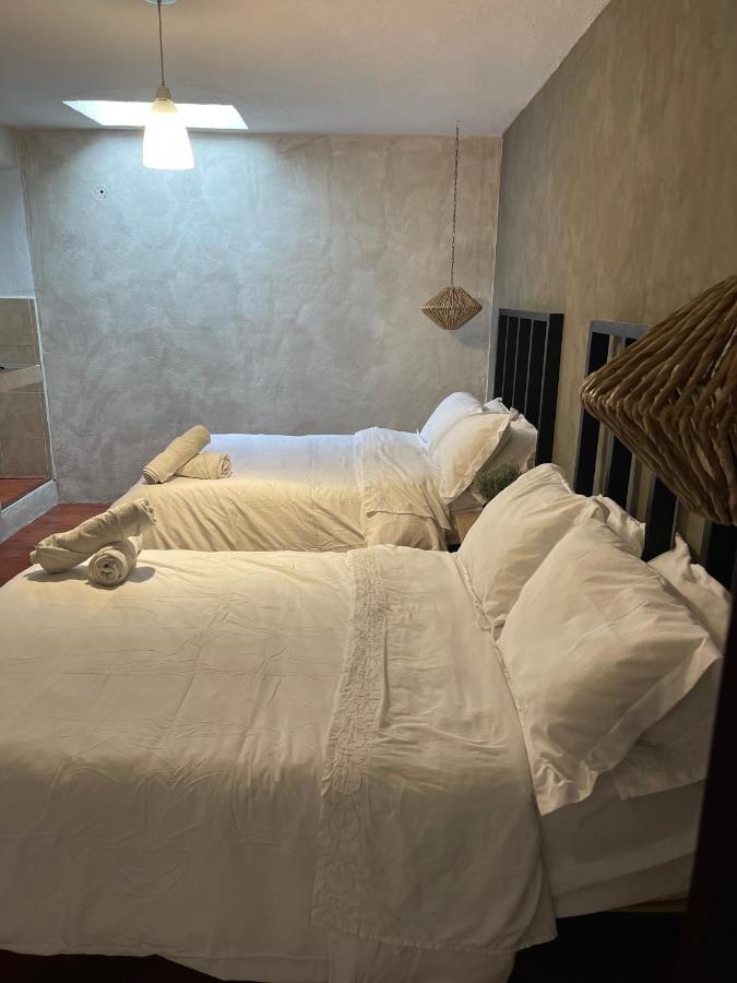 Hotel Villa Helena San Miguel de Allende Eksteriør billede